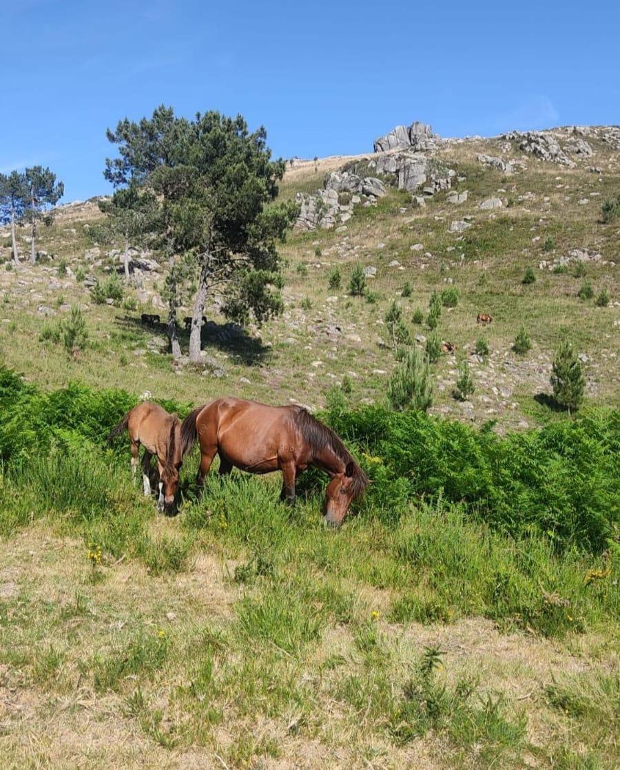 Cantinho Das Oliveiras Geres Εξωτερικό φωτογραφία